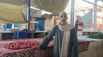 تراجع معروض الطماطم يرفع سعر الكيلو إلى 20 جنيهًا في أسواق الإسماعيلية